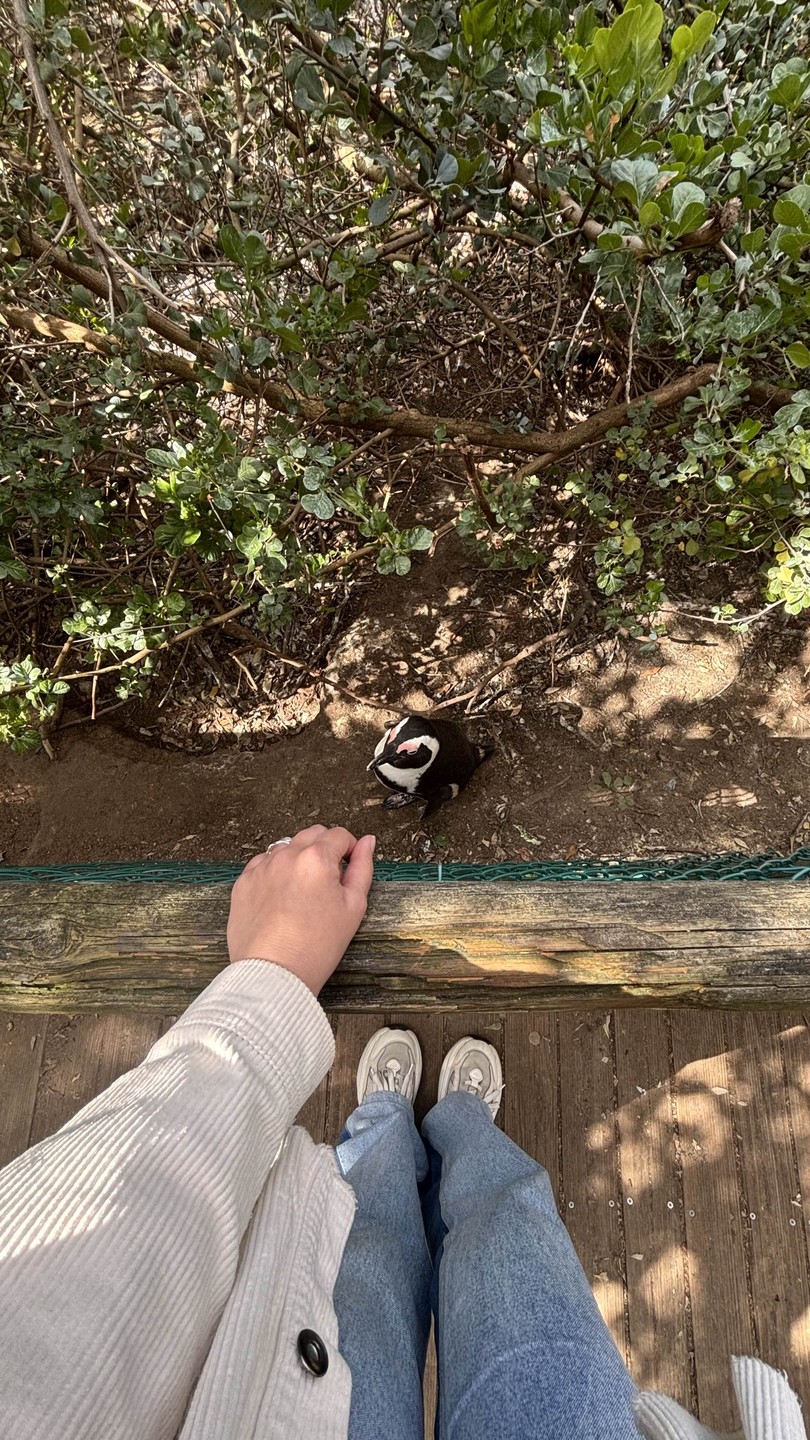 Есть плюсы и минусы в данной экскурсии…..