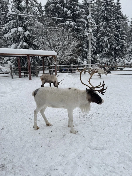 Познавательно, подробно, знающий и комфортный гид. Единственное, что могу предложить. это чуть четче обозначать время, для