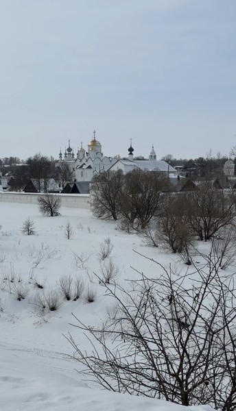 Анна очень приятный, спокойный и приветливый экскурсовод. Экскурсия очень понравилась, интересный взгляд на многие события и