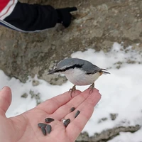 Фото отзыва 2: экскурсия "Прогулка к скалам Четыре Брата"