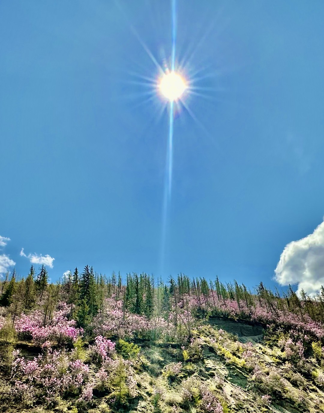 Насыщенная, интереснейшая экскурсия, где каждый километр - неописуемое эстетическое удовольствие!