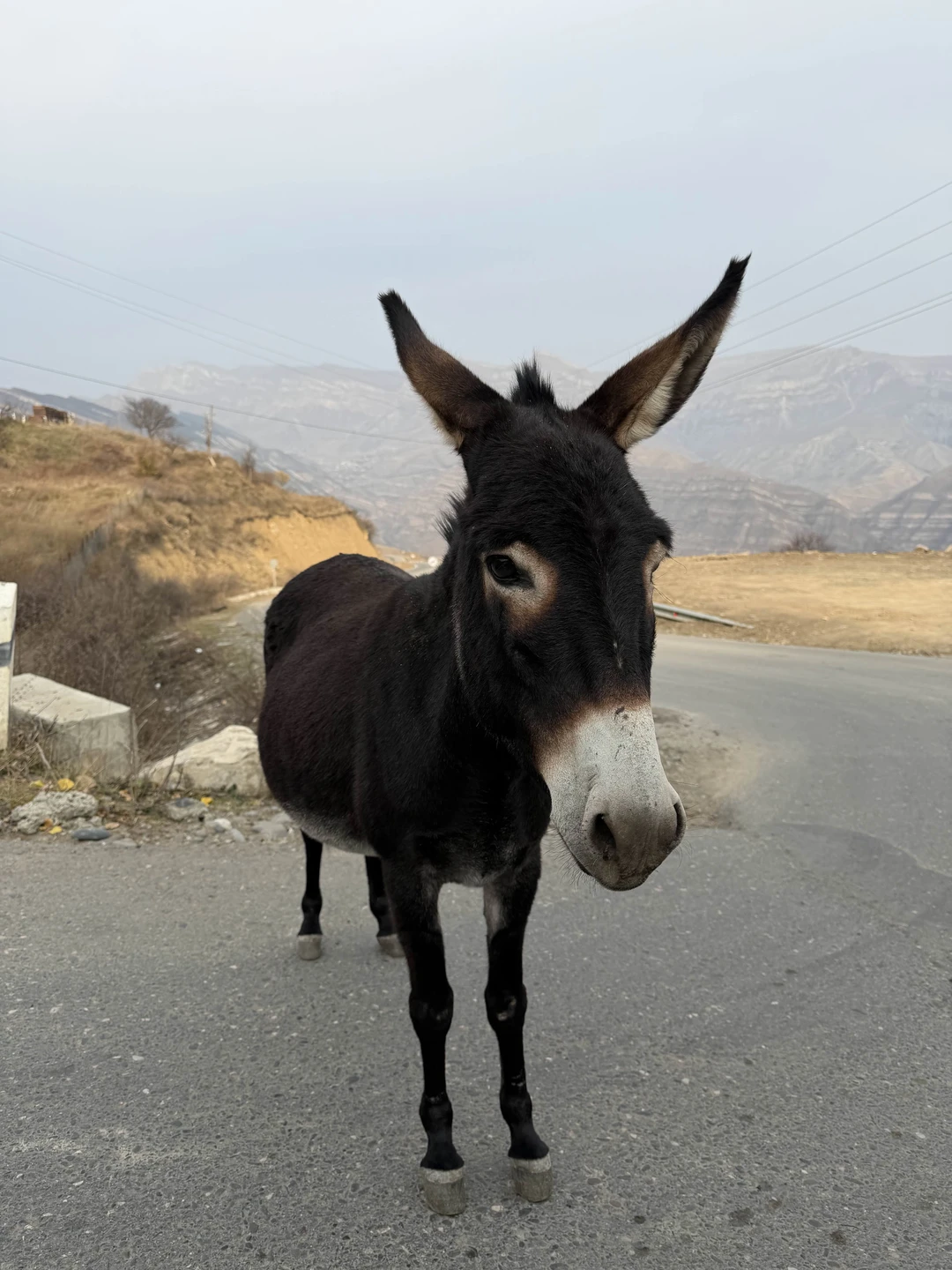 Нам повезло стать участниками экскурсии под руководством Ахмеда! Мы чувствовали себя желанными гостями. Все пожелания были