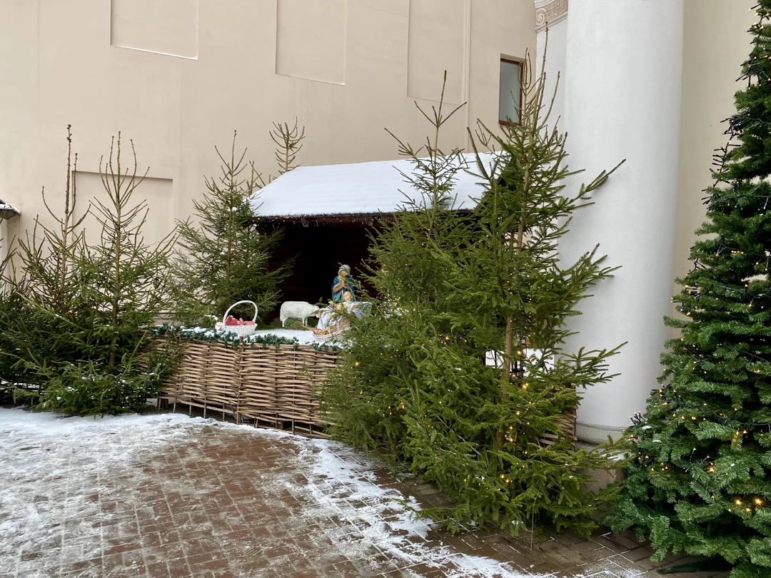 Спасибо большое Ярославу за замечательную обзорную экскурсию! Было очень интересно послушать и осмотреться в первый день