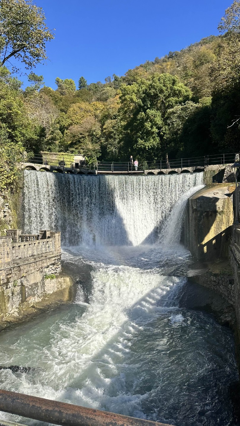 Индивидуальная экскурсия по солнечной Абхазии (Вероника)