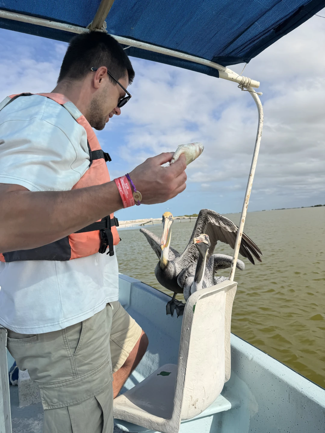 Обычно, мы с женой организовывали экскурсионный досуг самостоятельно. Но в Мексике решили не рисковать и доверить это профессионалу