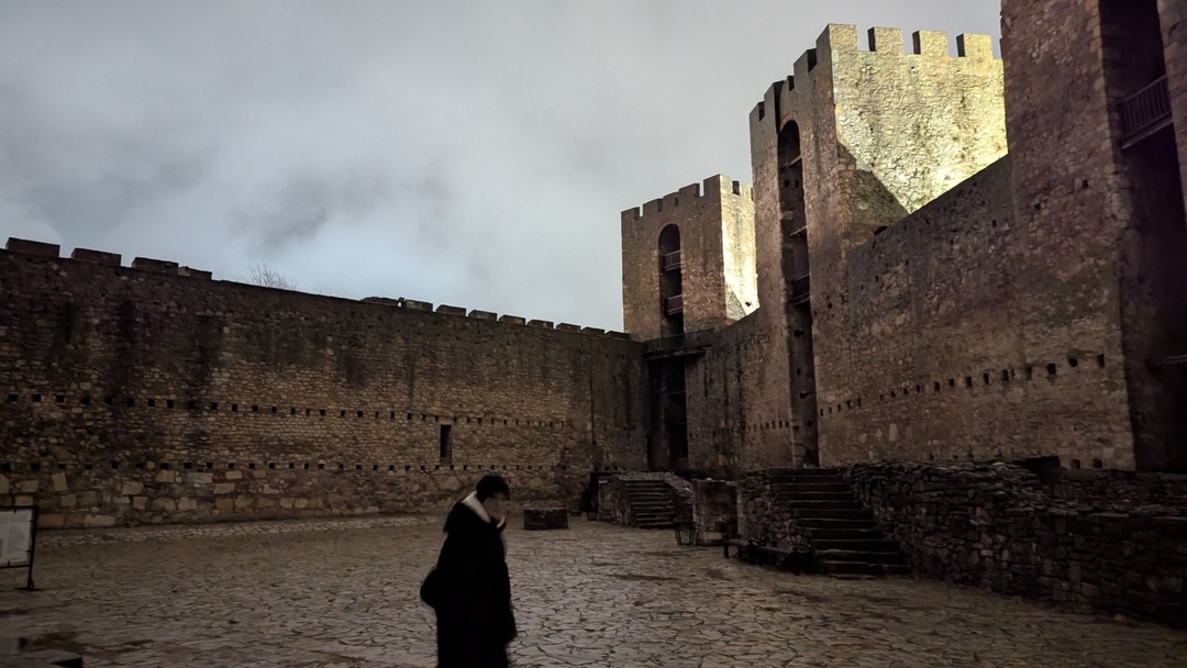 Саша - отличный гид! Вежливый, образованный, с чувством юмора. Рассказал множество интересных вещей про историю Сербии