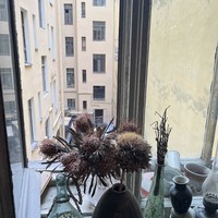 reviews img
