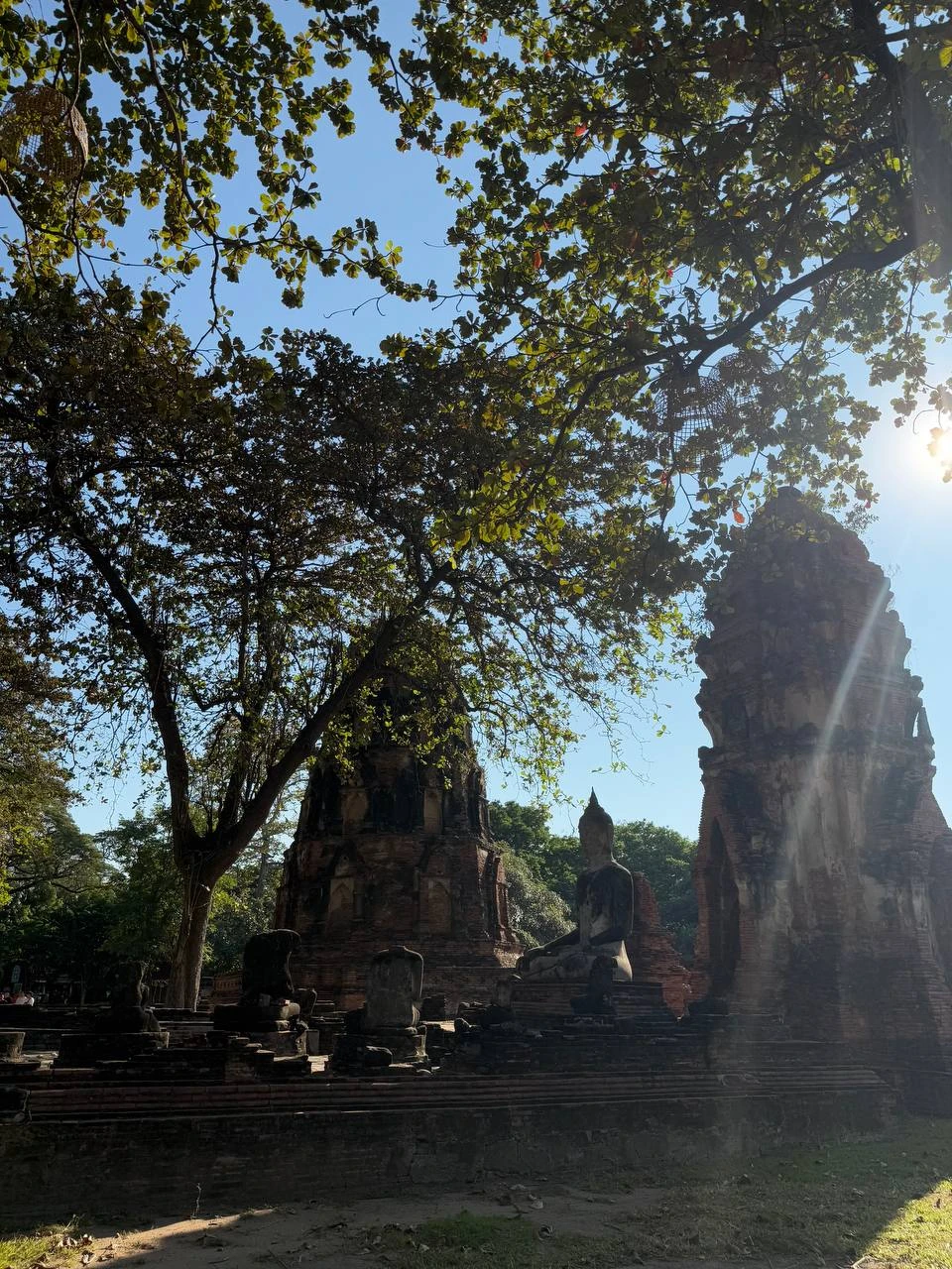 Из Бангкока в Аюттайю - землю королей (Елена)