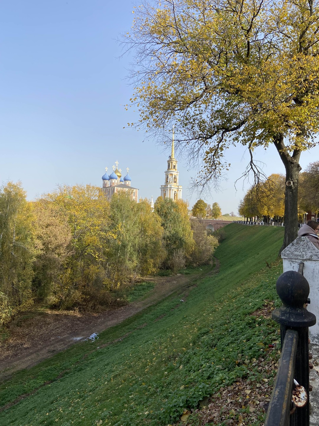 Всё о Рязани в самом сердце города (в группе) (Анна)