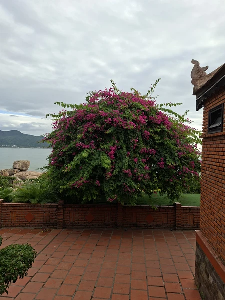 Гид Роман просто молодец. Много нужной информации, со знанием дела, с юмором. Класс! Огромнейшее спасибо!