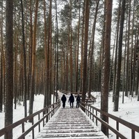 Фото отзыва 2: экскурсия "Побывать в сердце заповедника Столбы"