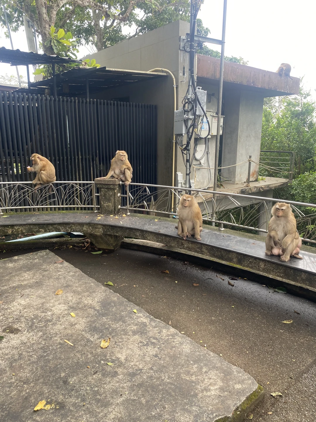 Очень понравилась экскурсия. Утром был дождь, поэтому днем мы отправились на другое направление в восточную часть
