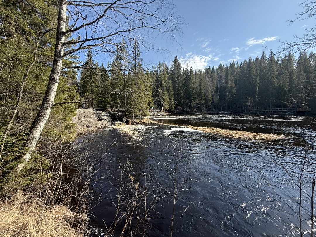 Все понравилось: организация тура, переезды, посещение, все прошло прям по минутам, все успели посмотреть и получить