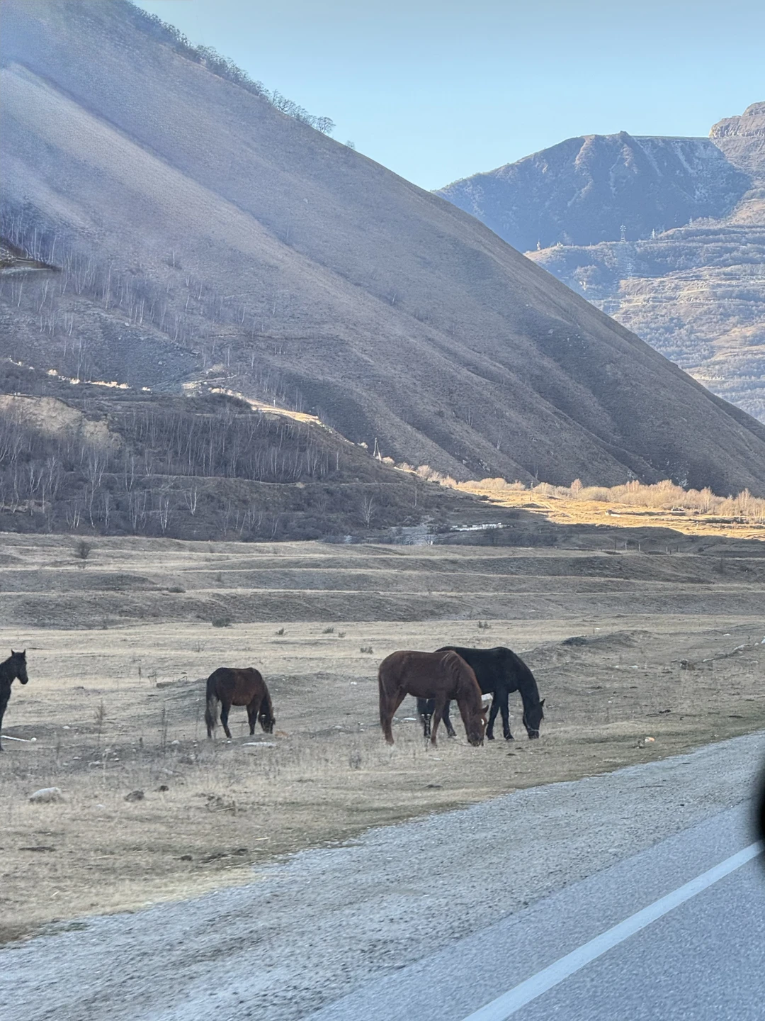 Отравилась на завтраке на первой остановке. Думаю, что не продуктами, а грязные приборы или что-то еще