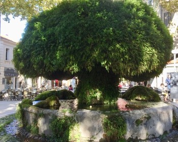 Фабрика мыла, переезд в Экс-ан-Прованс