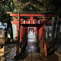 Фото отзыва 3: экскурсия "Тёмные аллеи Токио (18+)"