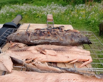 Кандалакшский и Терский берега Белого моря