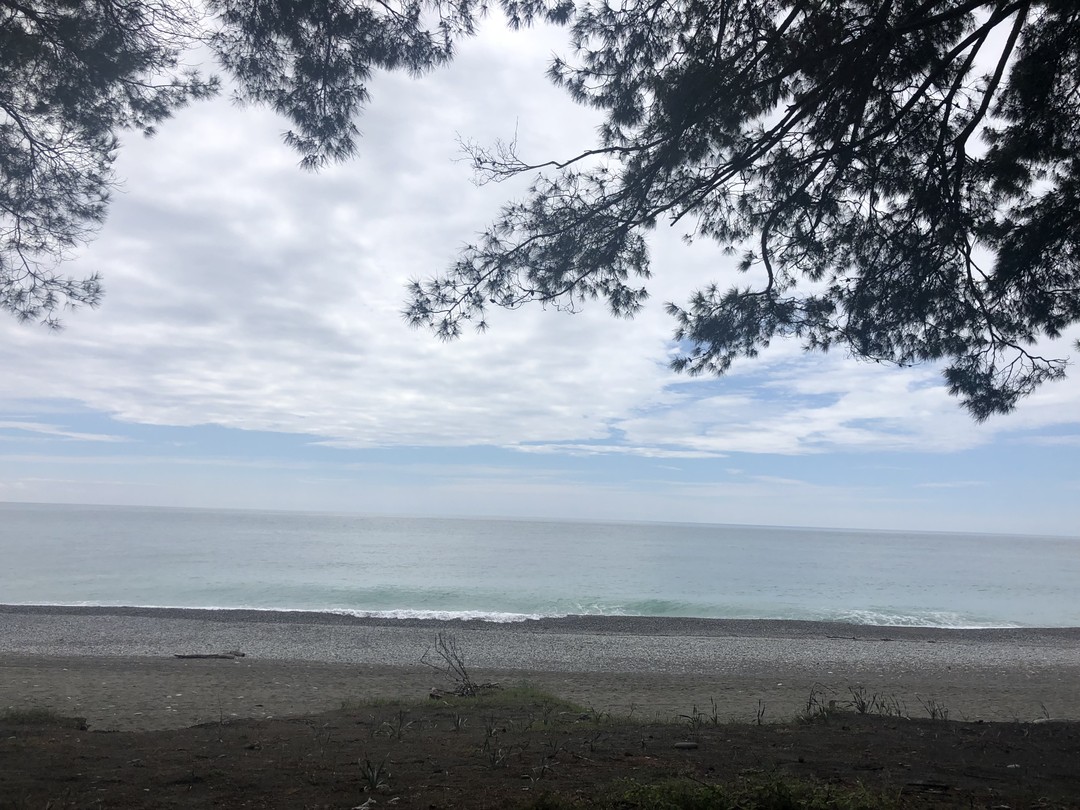 Приятная прогулка с человеком, полюбившим Пицунду. . Как ознакомительная прогулка будет интересно. Молодёжи будет интересно про