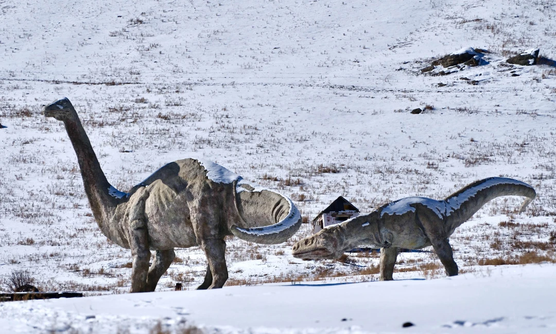 Спасибо за организацию интересного тура недалеко от Улан-Батора! Особая благодарность гиду Чуке, показал и рассказал много