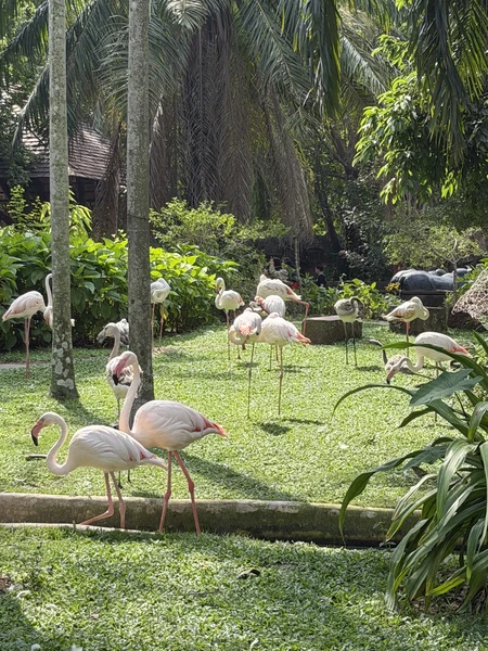 гид Виктор - просто пушка! знает языки всех животных 😂 поболтали со всеми животными и покормили. От плавающего слона - в полном шоке до сих пор)