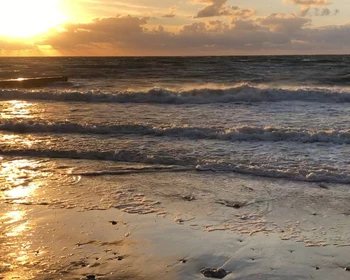 Светлогорск и Янтарный