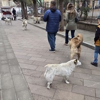 Фото отзыва 1: экскурсия "Старый Тбилиси"