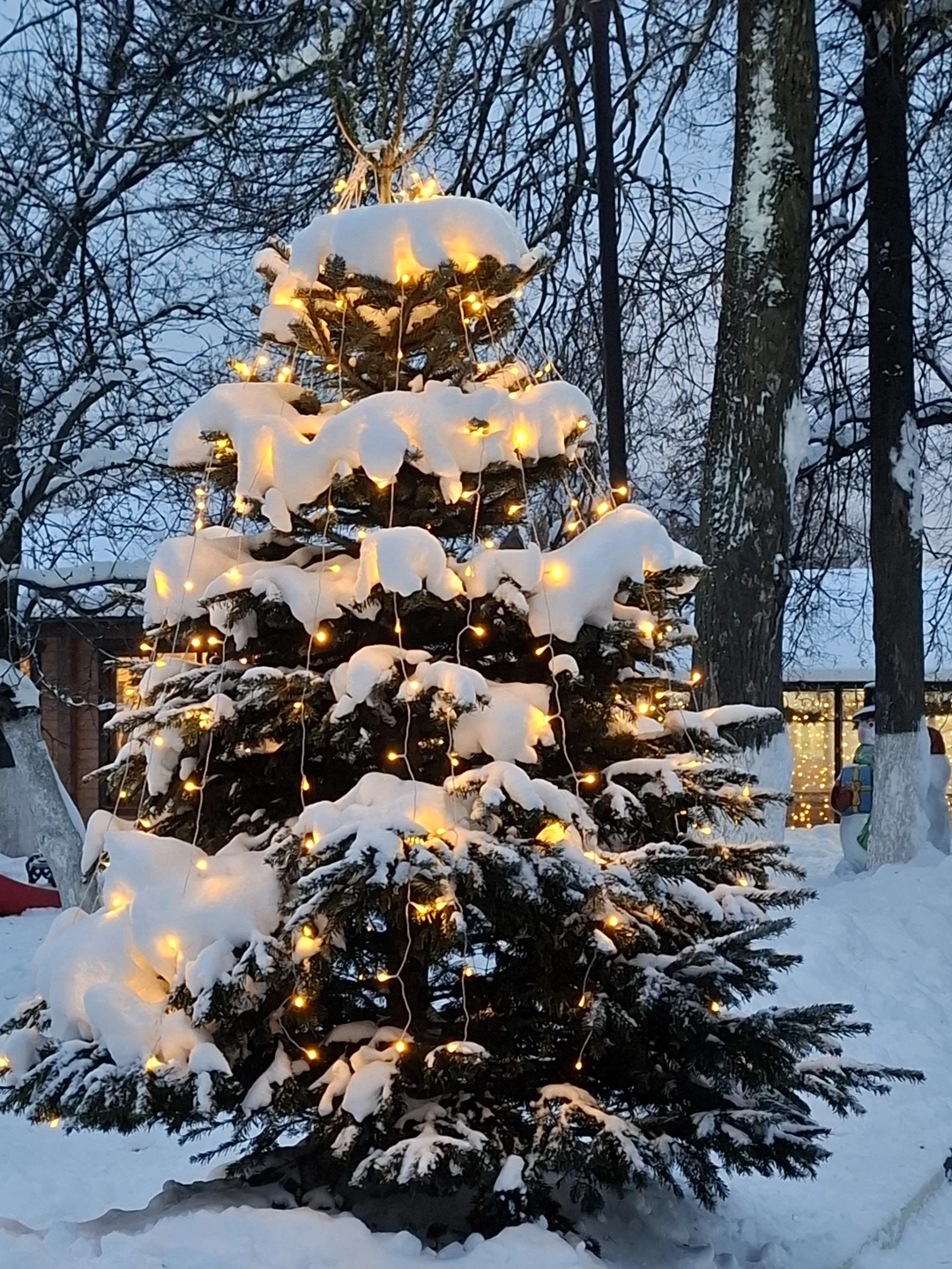 Отличная прогулка по Переделкино, которая сопровождалась интересным и увлекательным рассказом об истории поселка и ее жителях