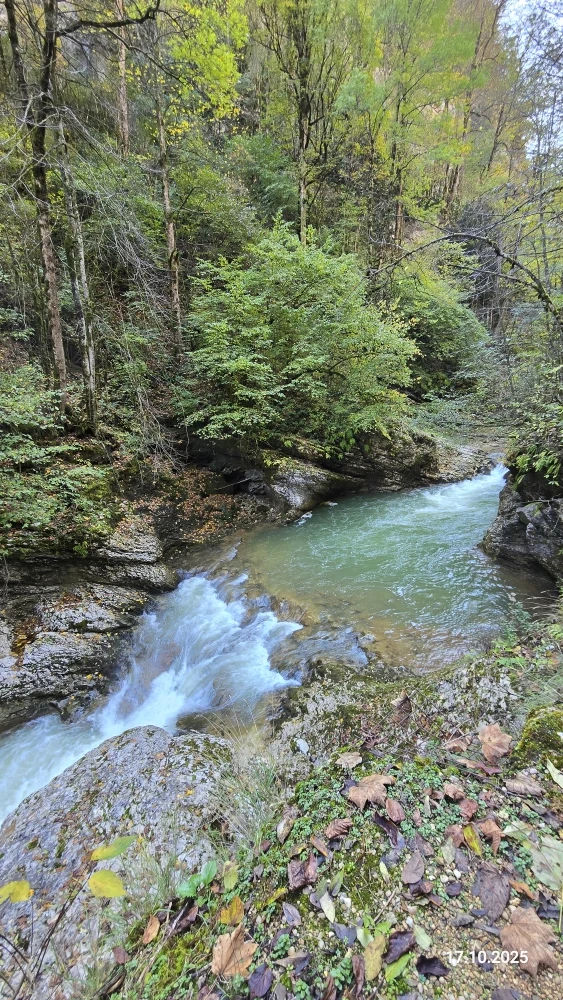 17.10.25 ездили на экскурсию. В целом экскурсия понравилась, т. к. это необычный новый опыт прокатится на