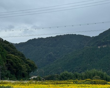 Поездка вокруг озера