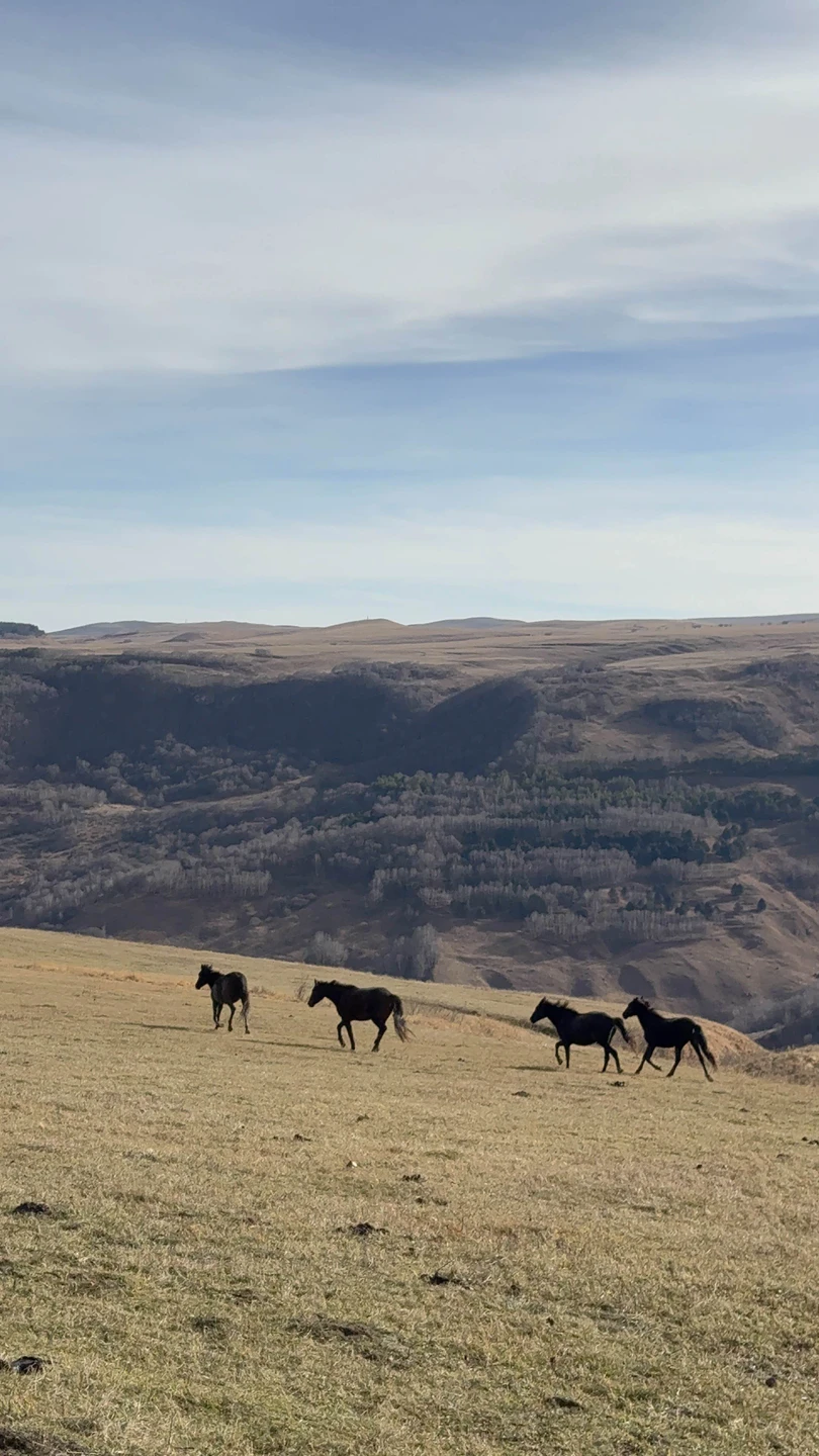 Кажется, что мы побывали на другой планете! Очень красиво и очень чуткий проводник! Первый раз сидели