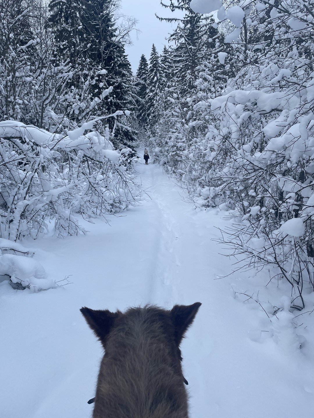 Все очень понравилось, огромное спасибо за проведенное время