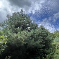 reviews img