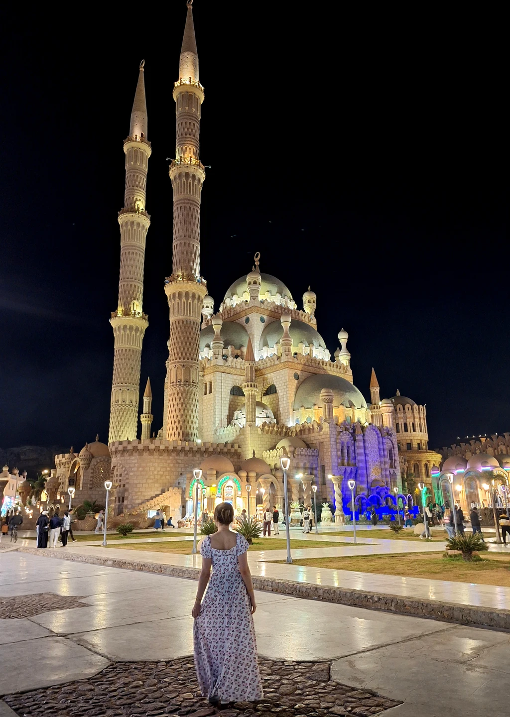 Багдади хороший гид,прекрасный рассказчик и отличный фотограф)