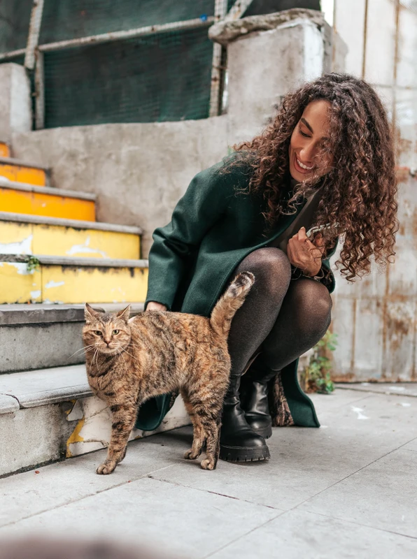 Нешаблонный Стамбул от изысканного Долмабахче до разноцветного Балата