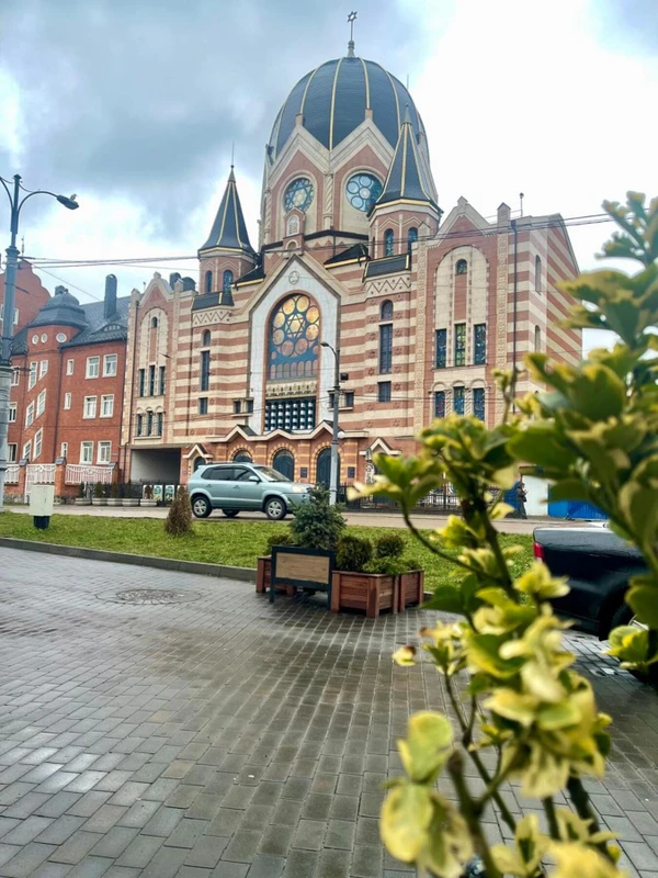 Истории и тайны Кёнигсберга-Калининграда (из Зеленоградска)