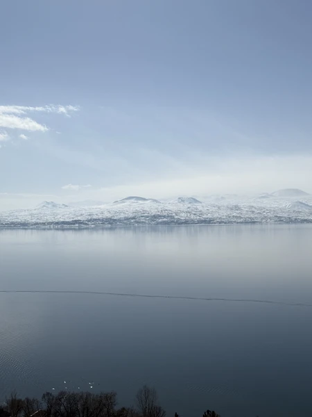 спасибо Тиграну за такой увлекательный маршрут, сразу подстроился под наш ритм, успели все посмотреть и вкусно пообедать