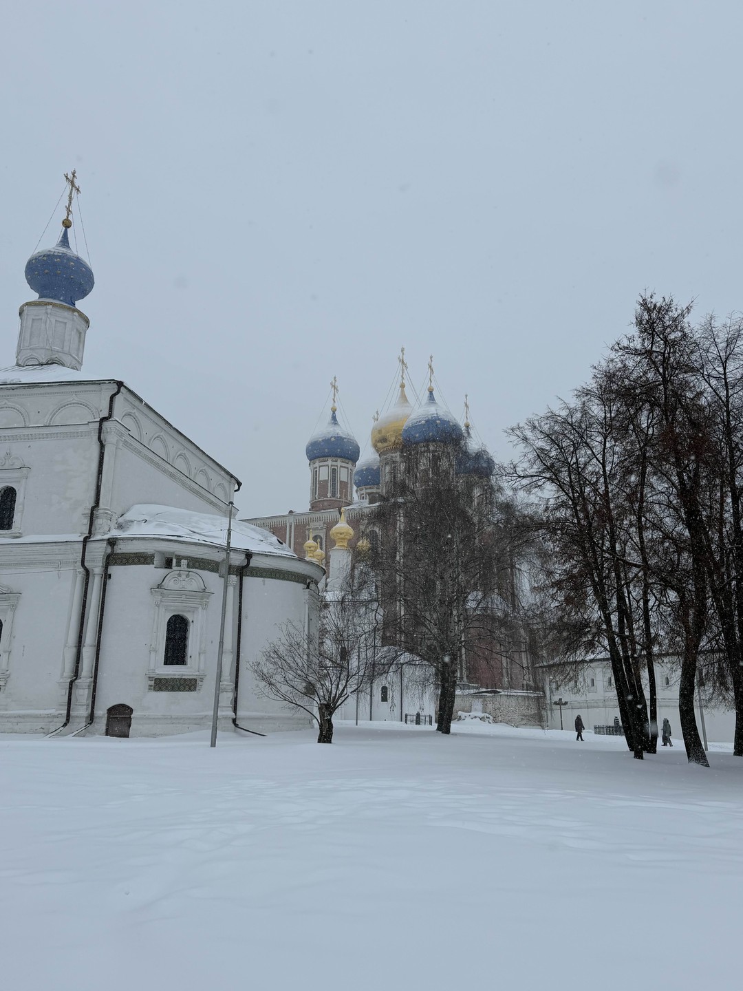 Милая экскурсия, для тех, кто первый раз в Рязани, рекомендую. Экскурсовод Александр, сразу видно, что очень