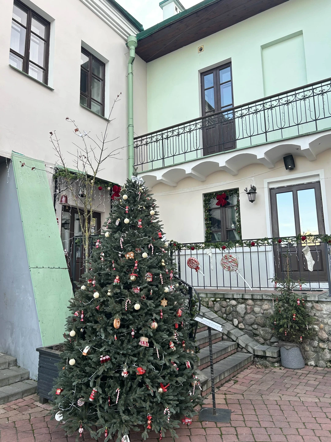 По Минску - на электромобиле с панорамной крышей (Ольга)