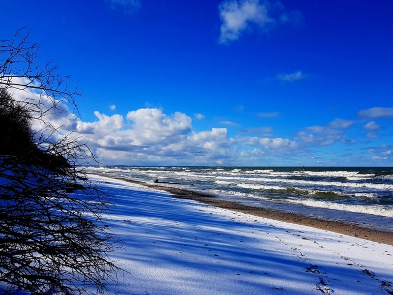 Виды История и легенды Куршской косы с гидом-писателем (из Зеленоградска)